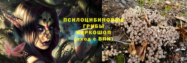 герыч Арсеньев
